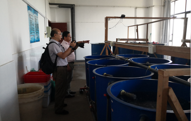 1629256860788177.png image.png