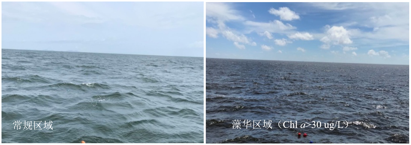 1631580745610565.png 水色对比图.png