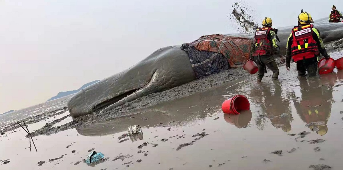 1650416930704817.jpg 微信图片_20220420090229.jpg