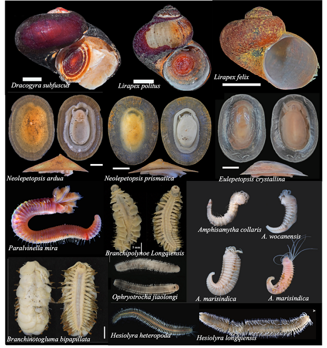 1656067170153838.png 小图1.png