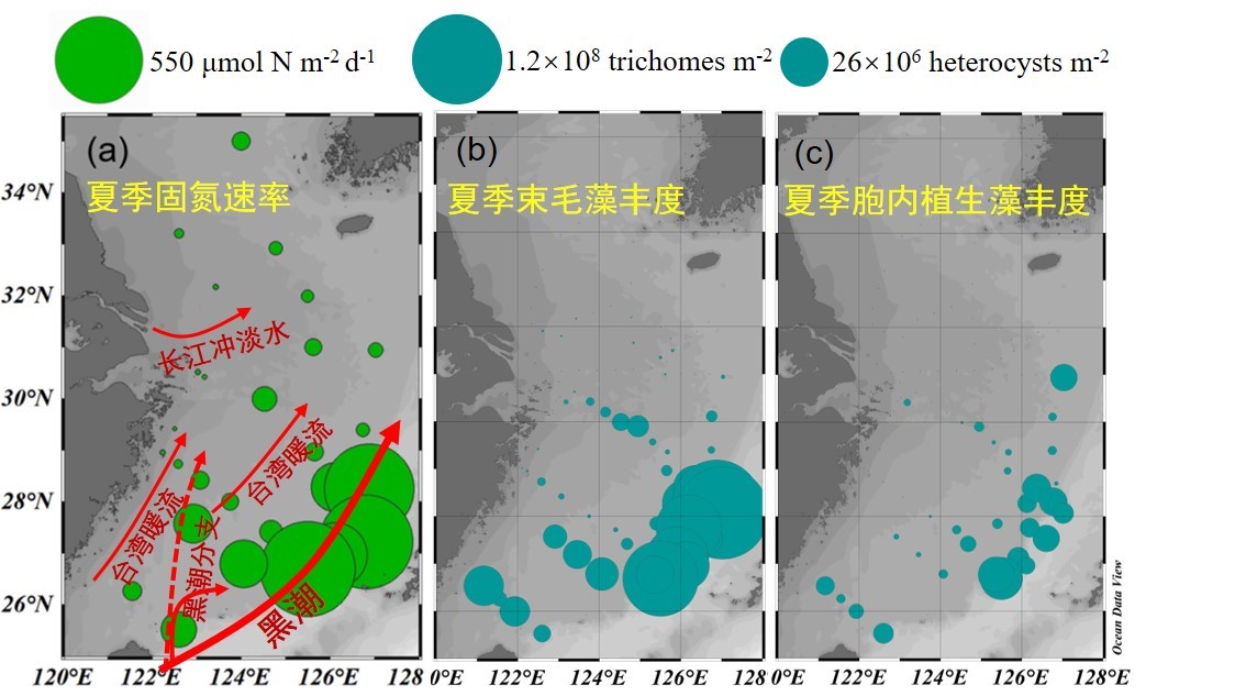1685964329463082.jpg 图1.jpg