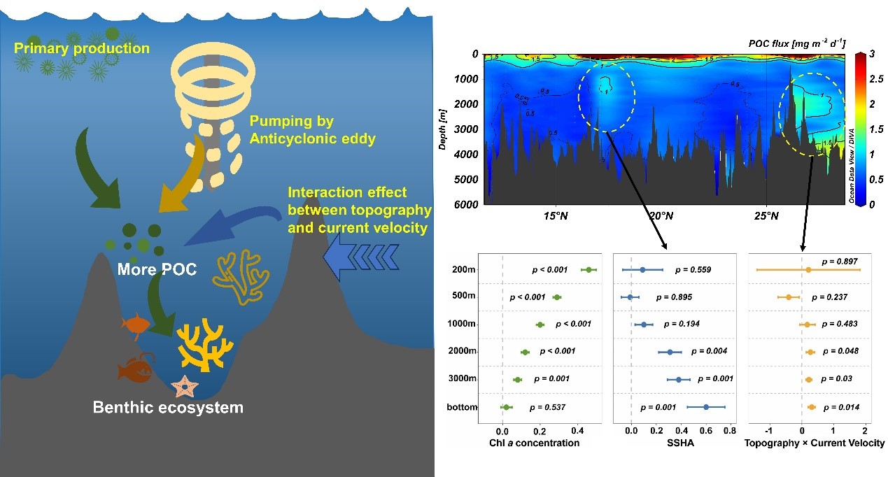 1696731983475750.jpg 1.jpg