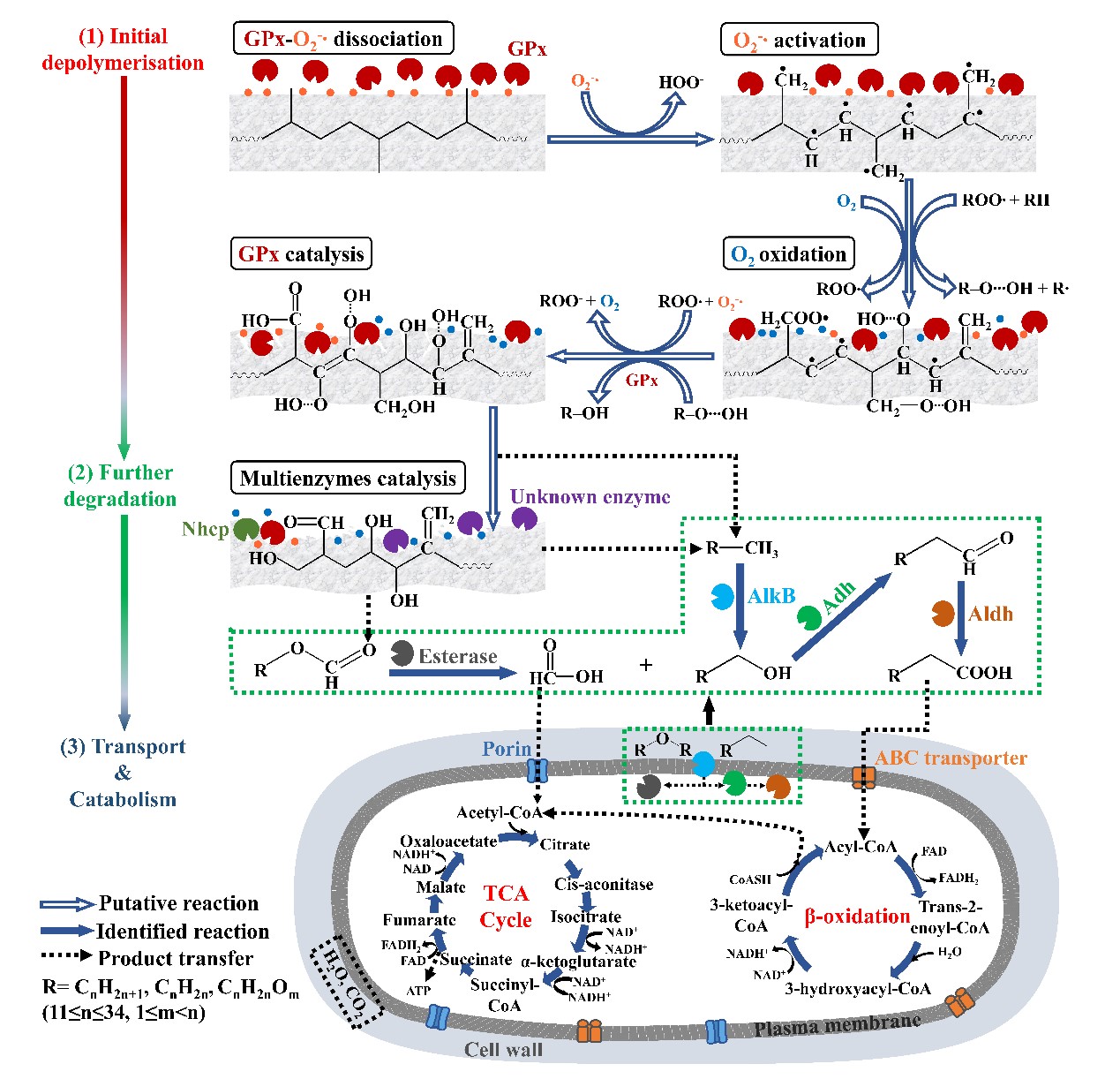 1699323225832277.jpg 图2.jpg