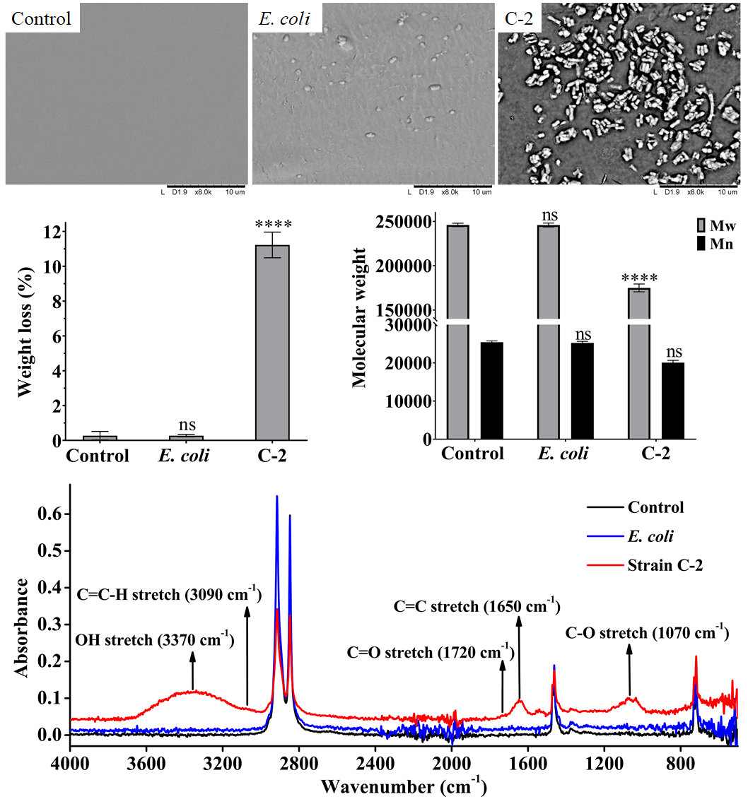 1699323279400954.png 图1.png