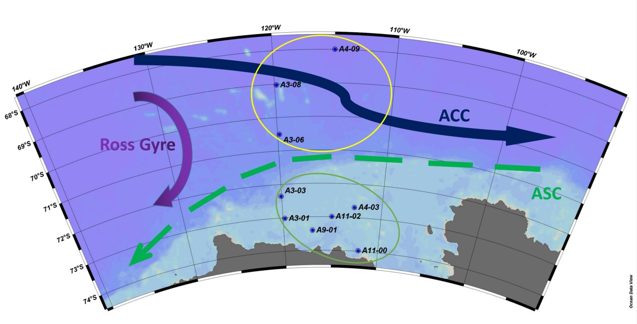 1700721372864848.jpg 图1.jpg