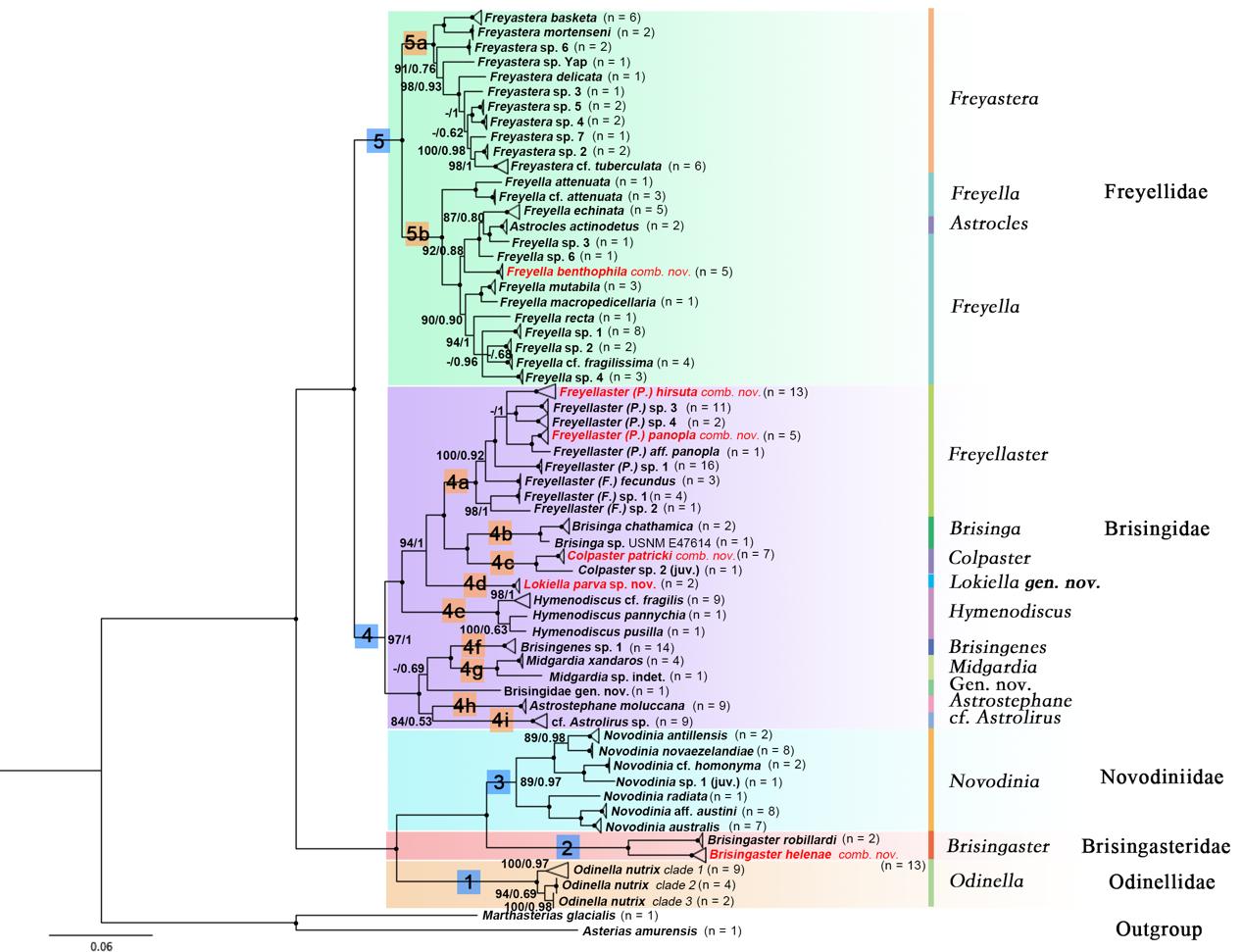 1704279733183167.jpg 图片1.jpg
