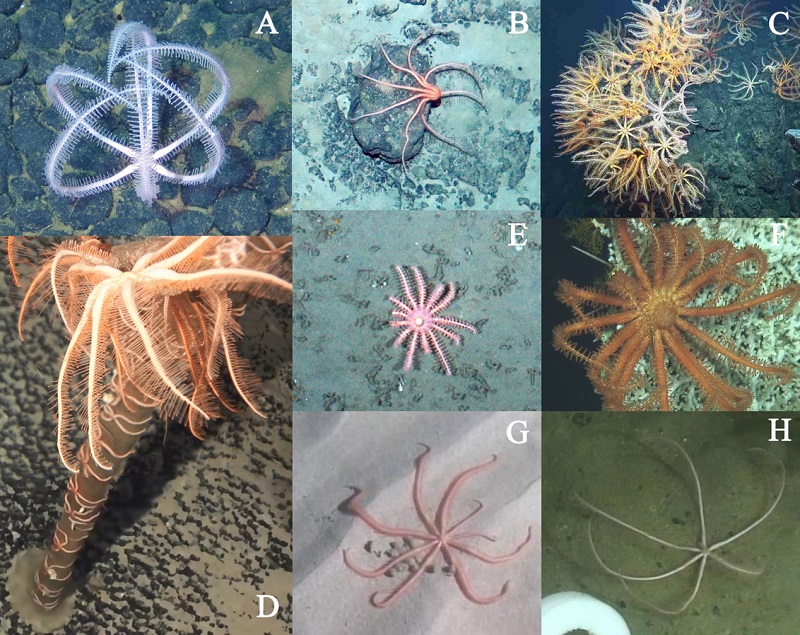 1704279807448350.jpg 图片2.jpg