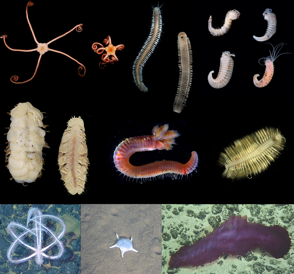 1713409272898901.png 图片2.png