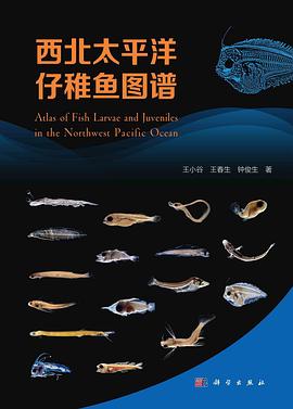 1717203415397561.jpg 1717203415397561.jpg