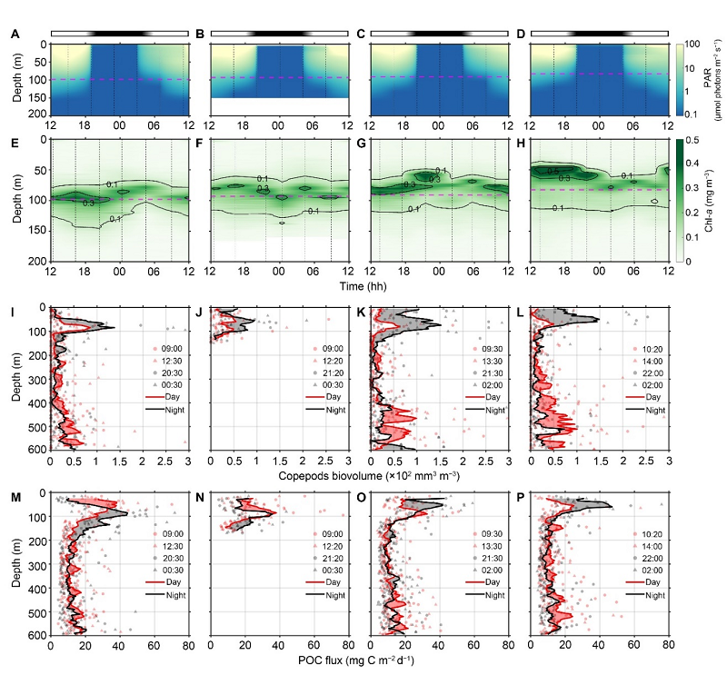 1719454237418002.png 图片1-2.png