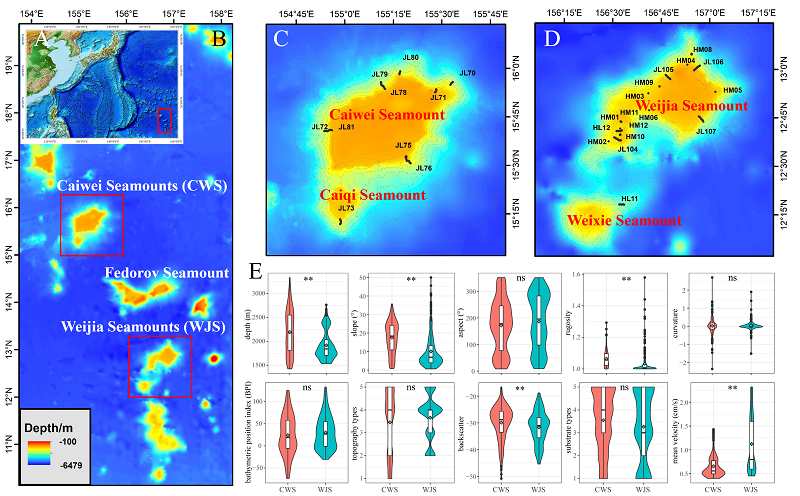 1720079422377253.png 图片1.png