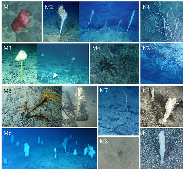 1720079441496783.png 图片2.png