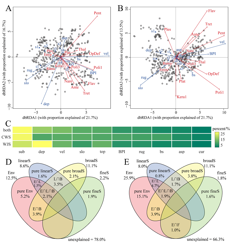 1720079479182750.png 图片3.png