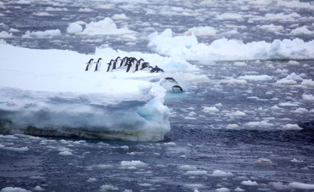 1721290808849053.jpg 1721290808849053.jpg