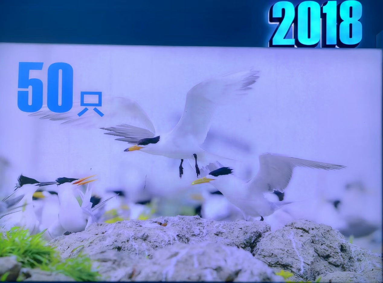 1723798495495343.png 1723798495495343.png