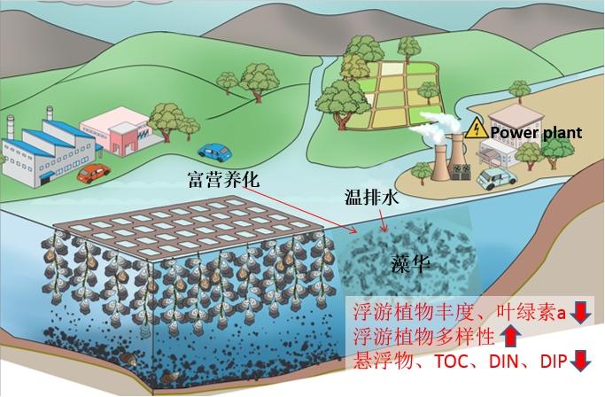 1736912224374530.png 1736912224374530.png