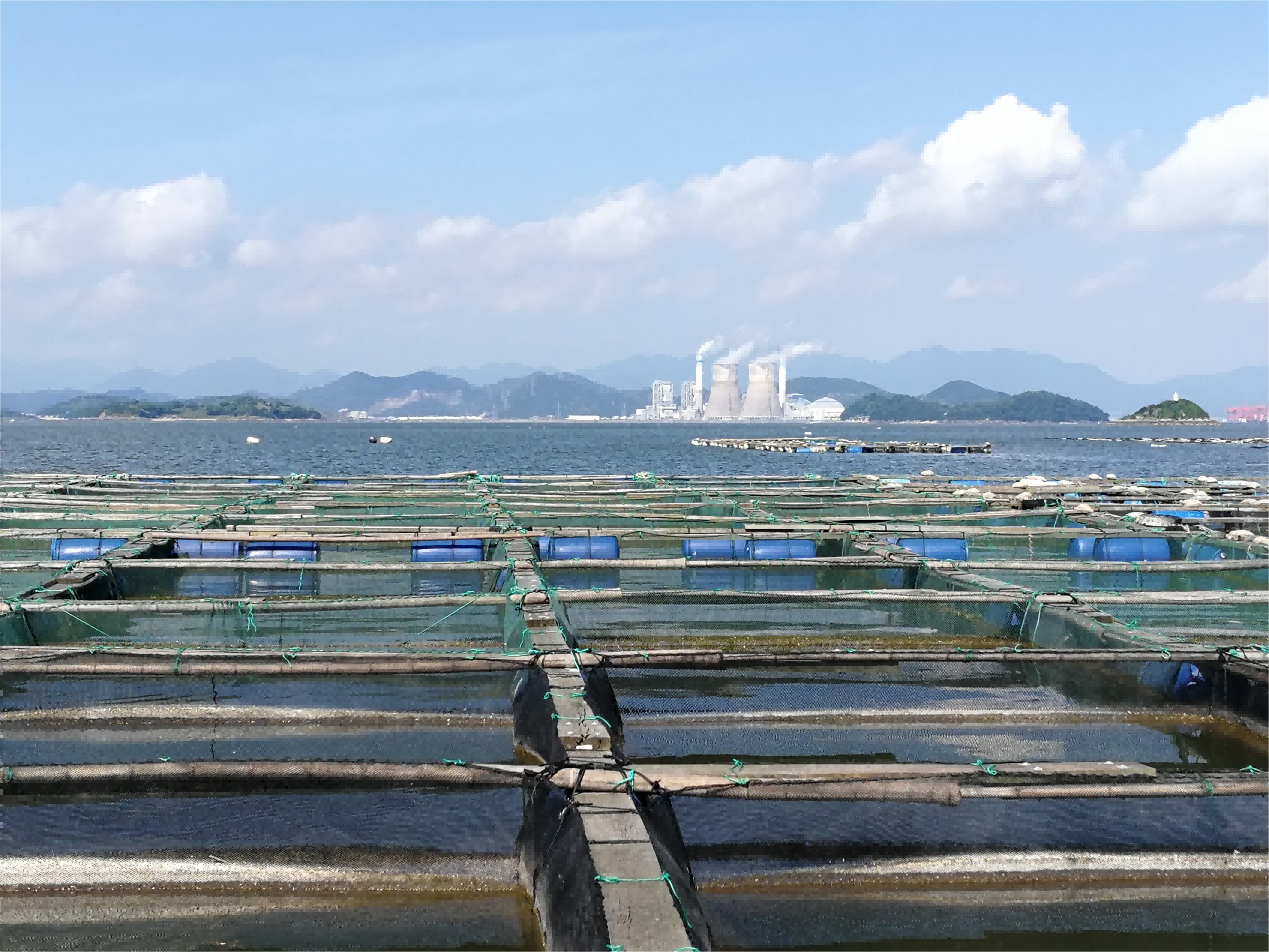 1736912251210829.png 1736912251210829.png