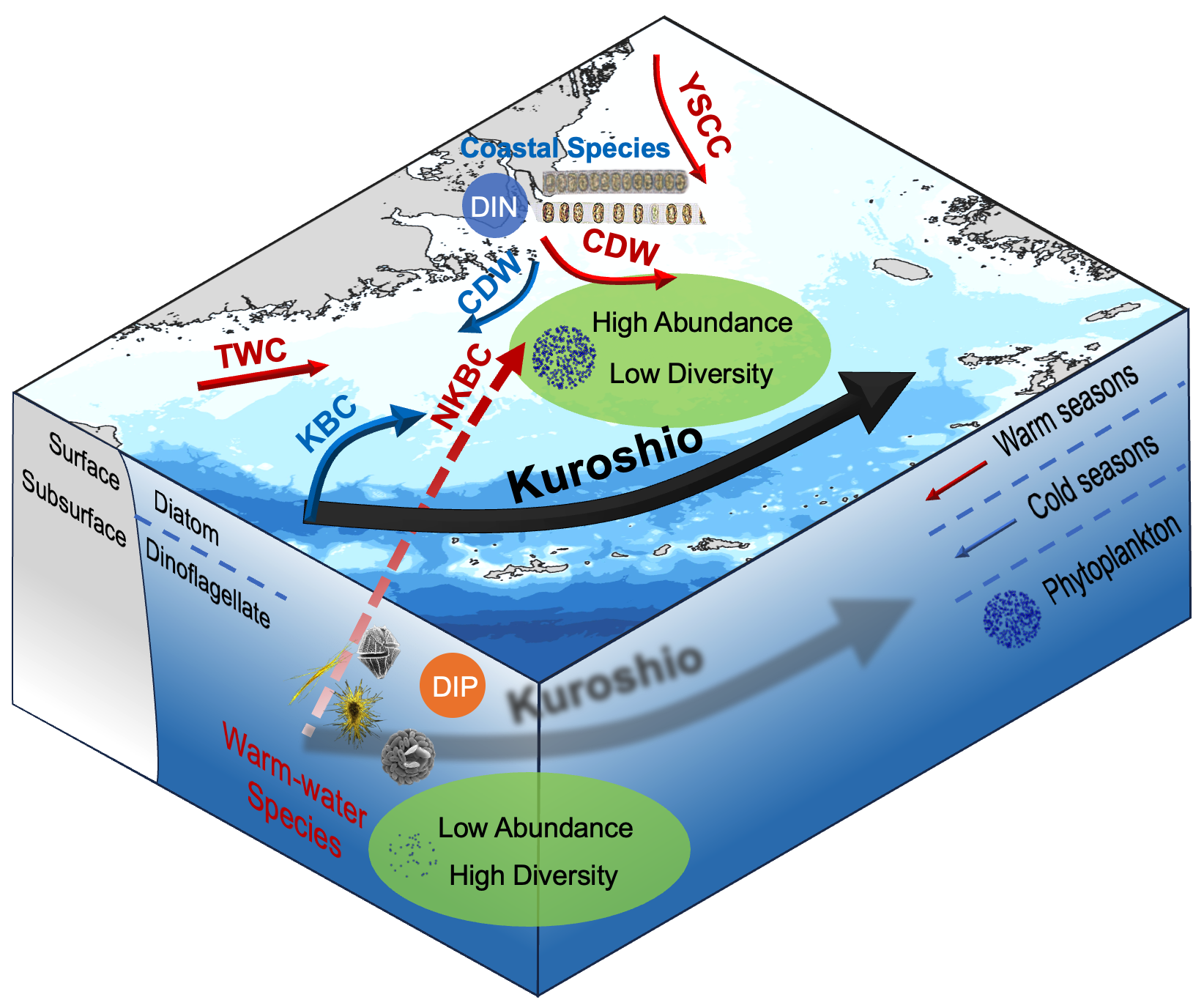 1742437368875285.png 1742437368875285.png