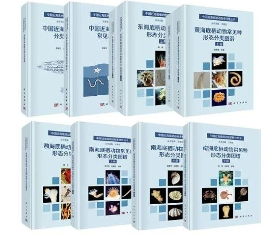 1750919753322606.png 1750919753322606.png