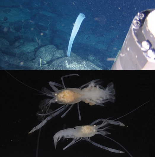 1752477749106385.png 1752477749106385.png