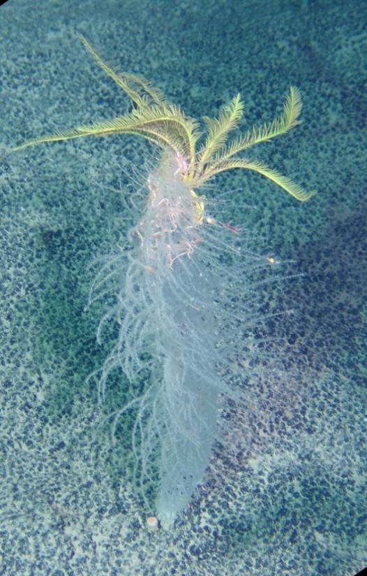 1752477832657798.png 1752477832657798.png