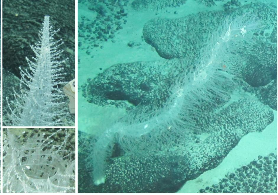 1752477854877805.png 1752477854877805.png