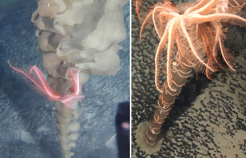 1752478157446199.png 1752478157446199.png