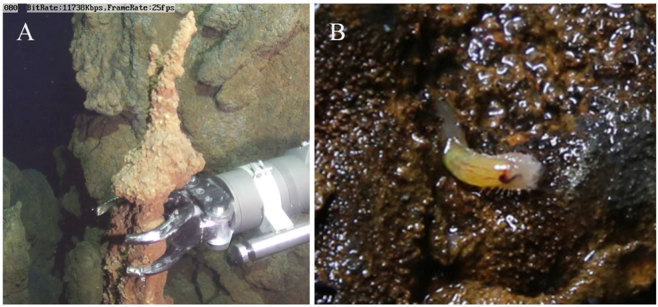 1752478299702323.png 1752478299702323.png