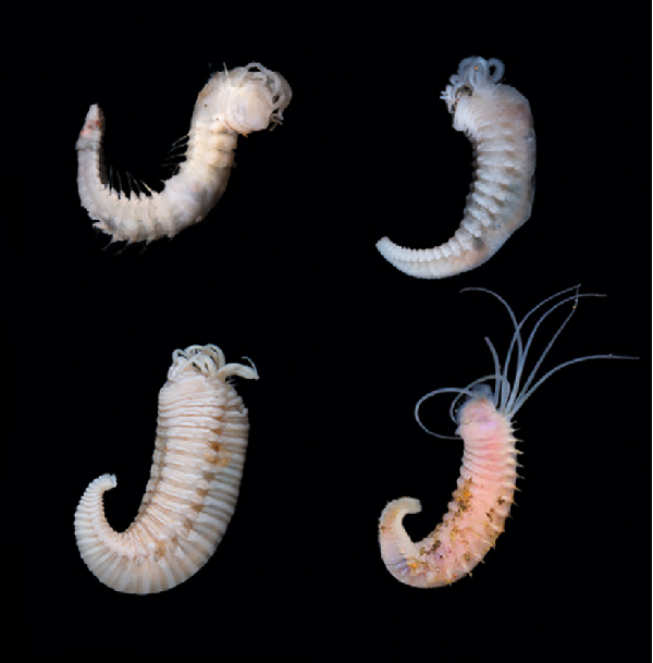 1752478337858441.png 图片9(1).png